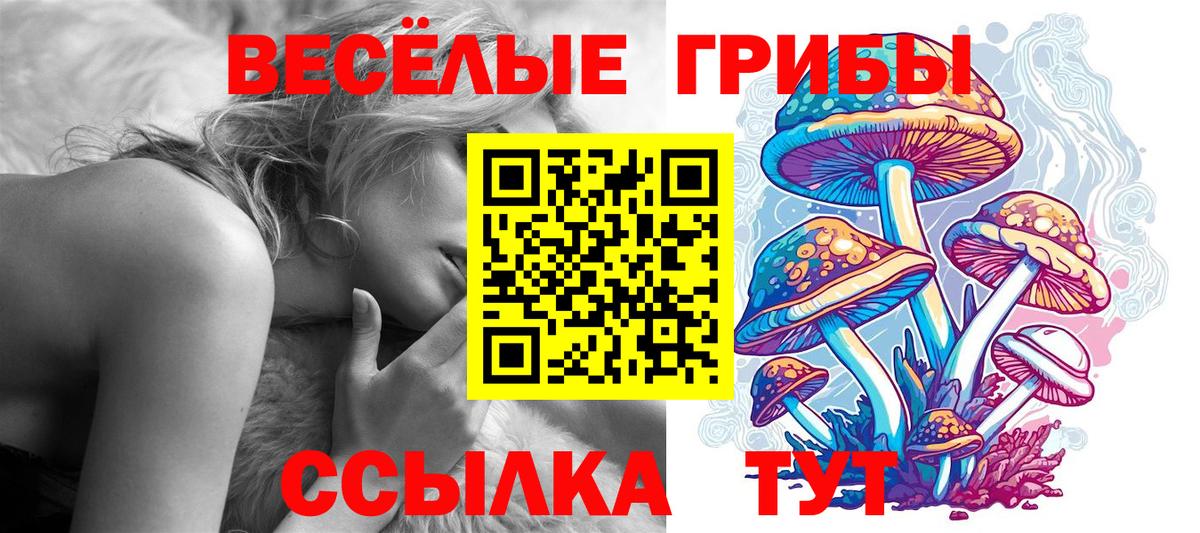 Галлюциногенные грибы мухоморы Владивосток