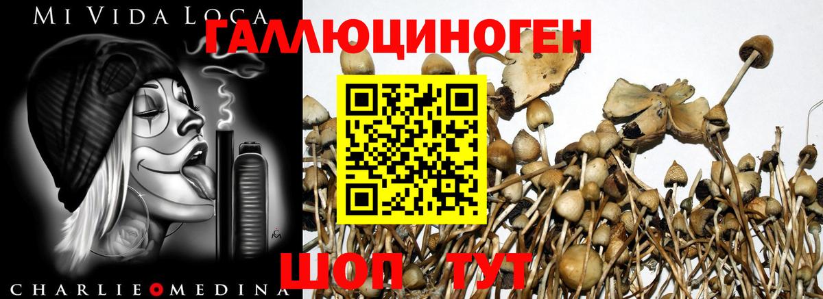 Галлюциногенные грибы мухоморы  Галлюциногенные грибы Cubensis  Владивосток  Вход с VPN 